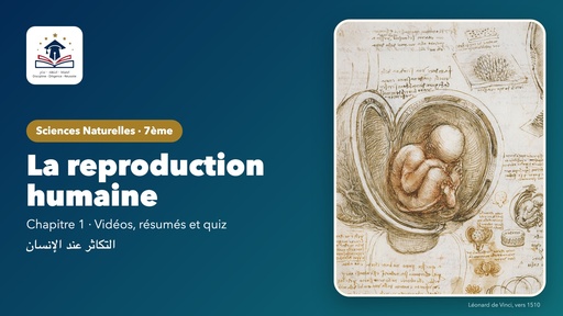 7ème D – Sciences naturelles – La reproduction humaine